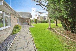 Photo 24- click for photo gallery